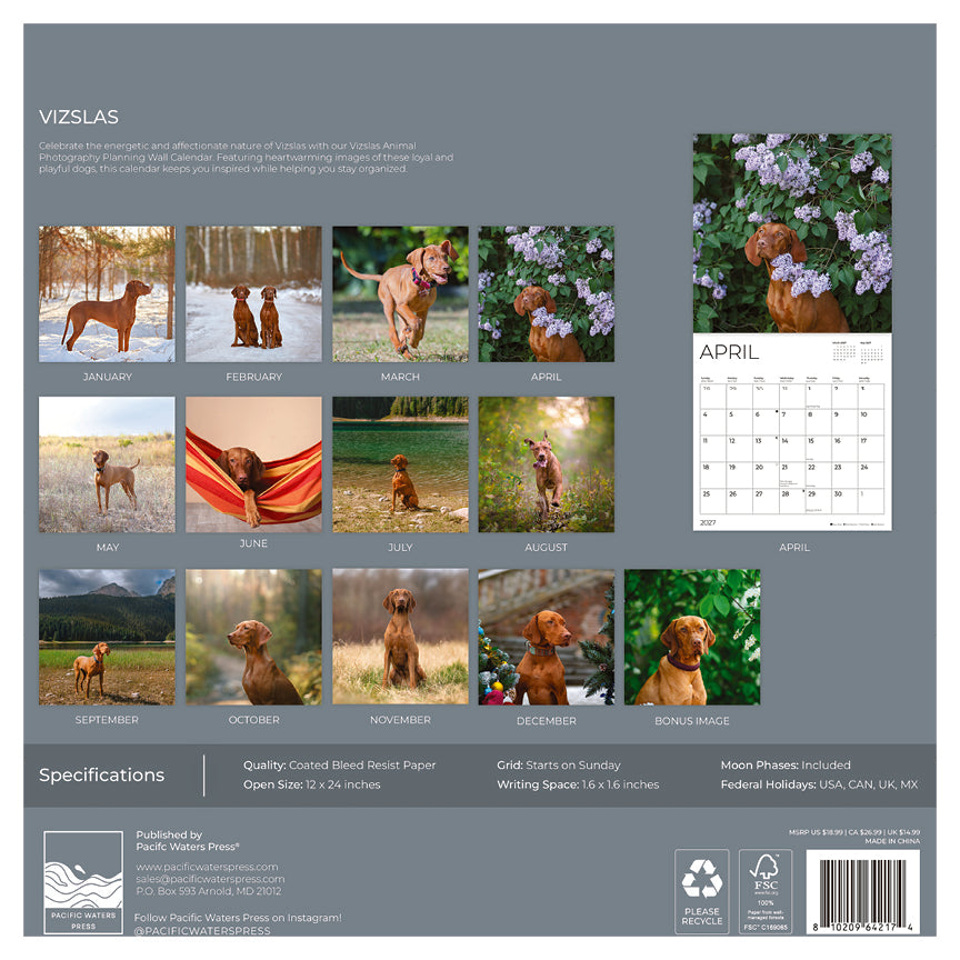 '27 Wall Calendar - Vizslas