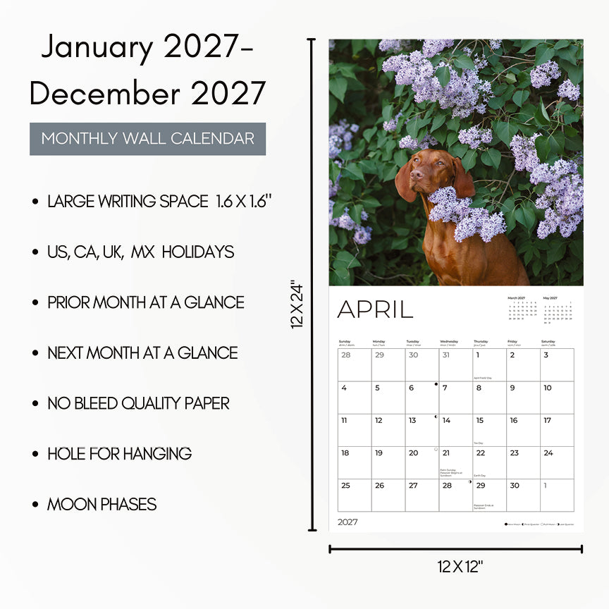 '27 Wall Calendar - Vizslas