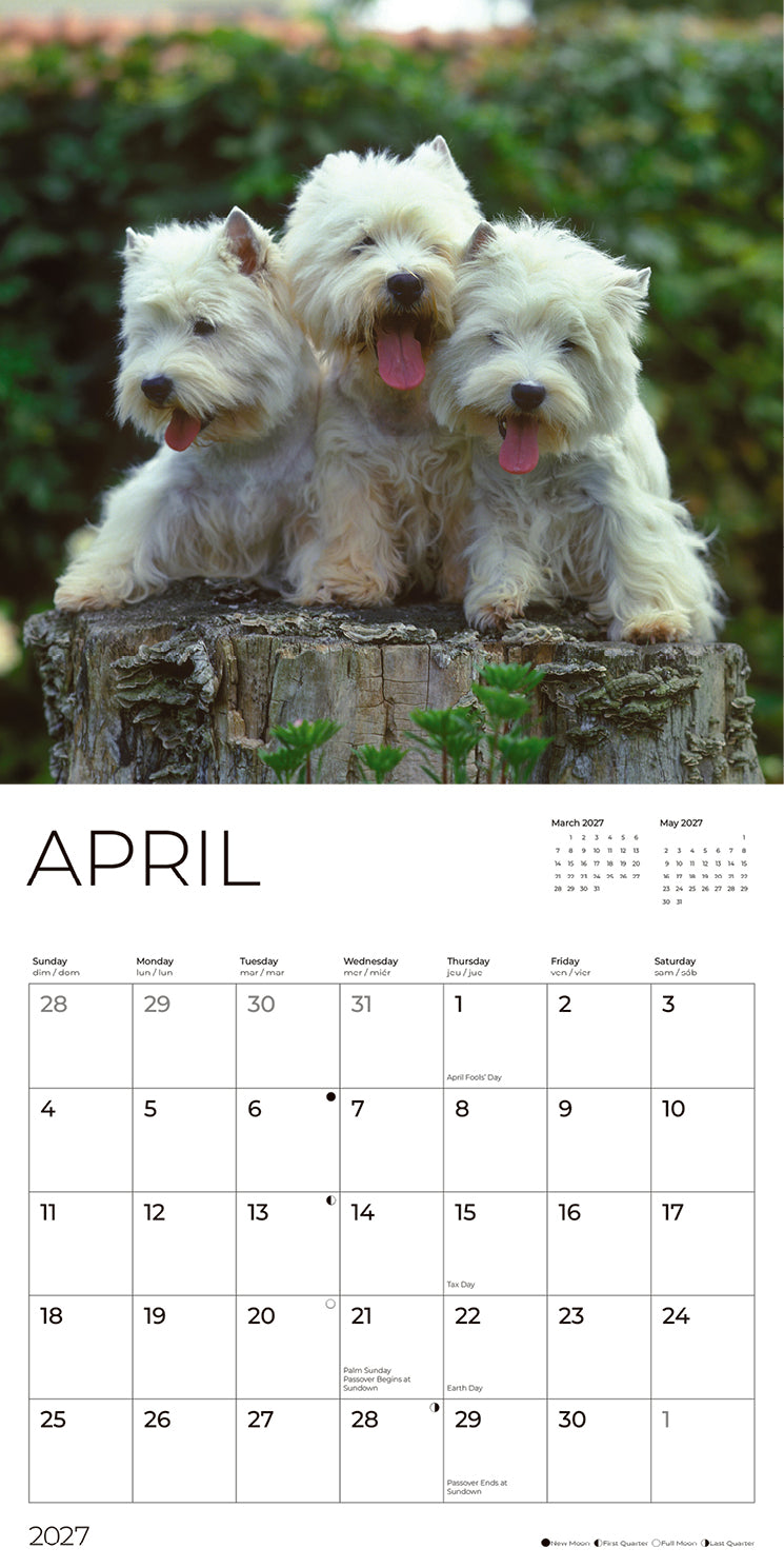 '27 Wall Calendar - West Highland White Terriers