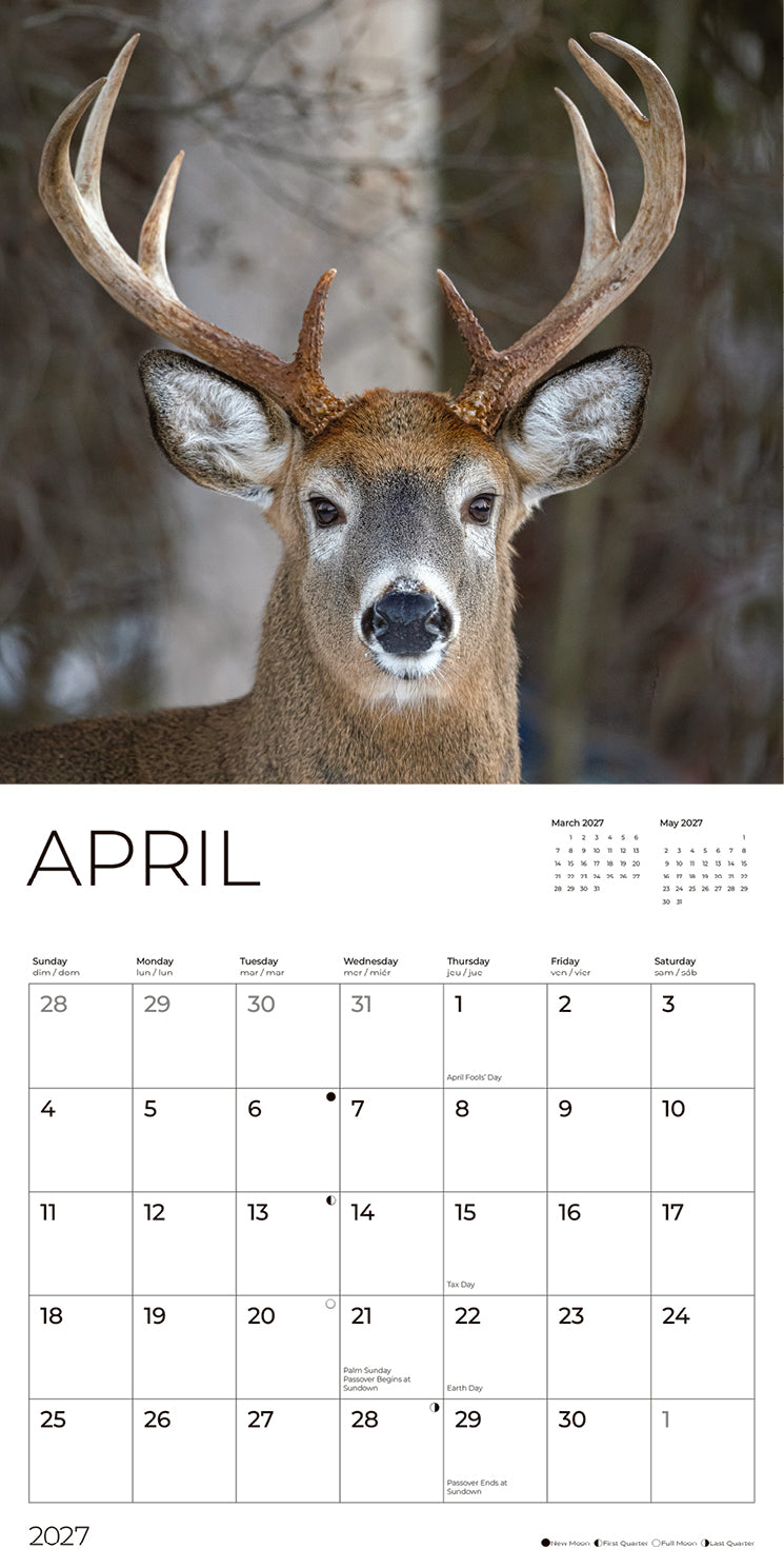 '27 Wall Calendar - Whitetail Deer