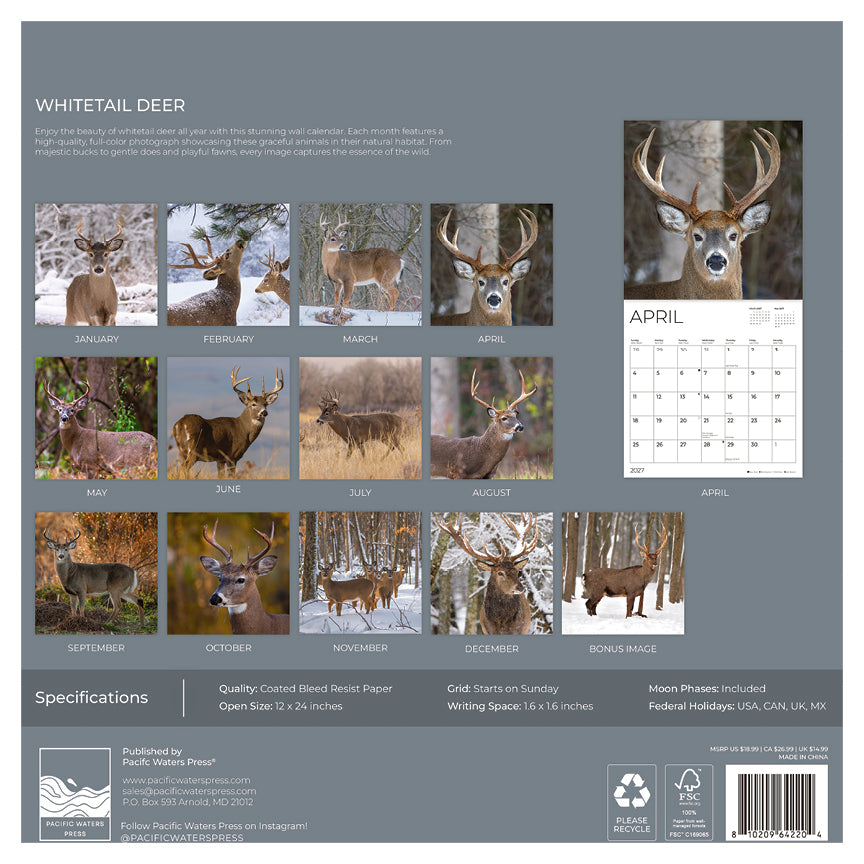 '27 Wall Calendar - Whitetail Deer