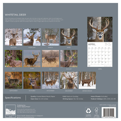 '27 Wall Calendar - Whitetail Deer