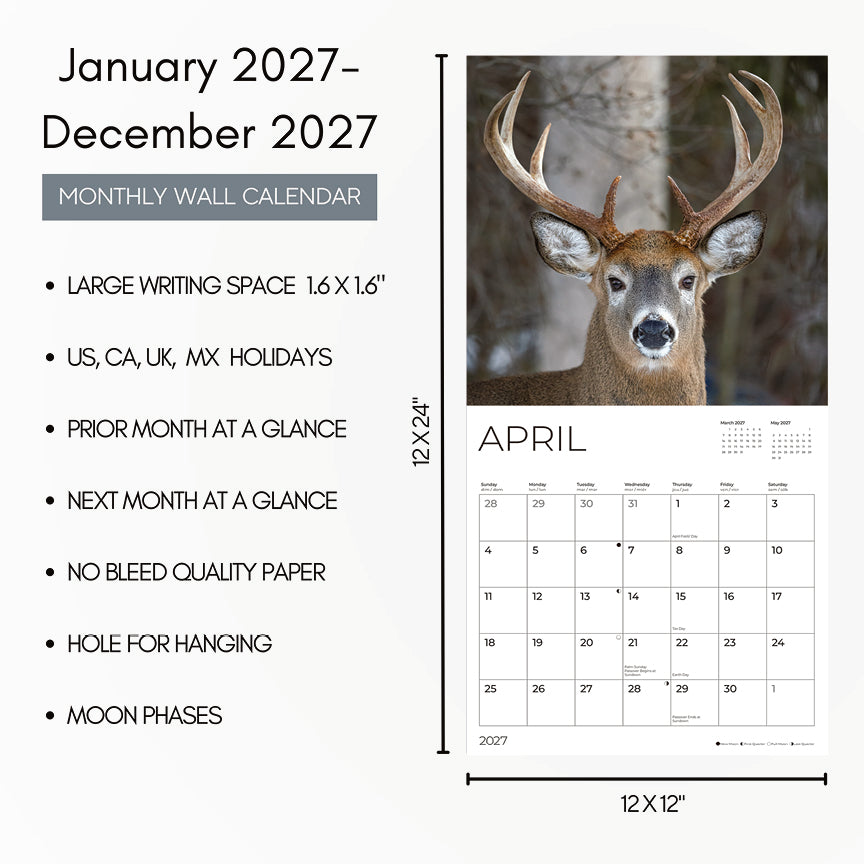 '27 Wall Calendar - Whitetail Deer