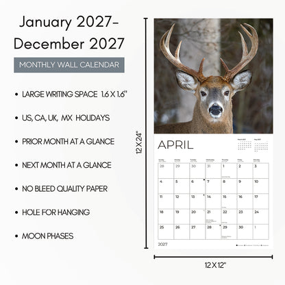 '27 Wall Calendar - Whitetail Deer