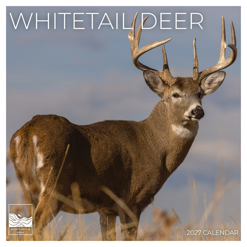 '27 Wall Calendar - Whitetail Deer
