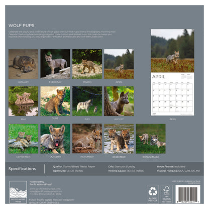 '27 Wall Calendar - Wolf Pups