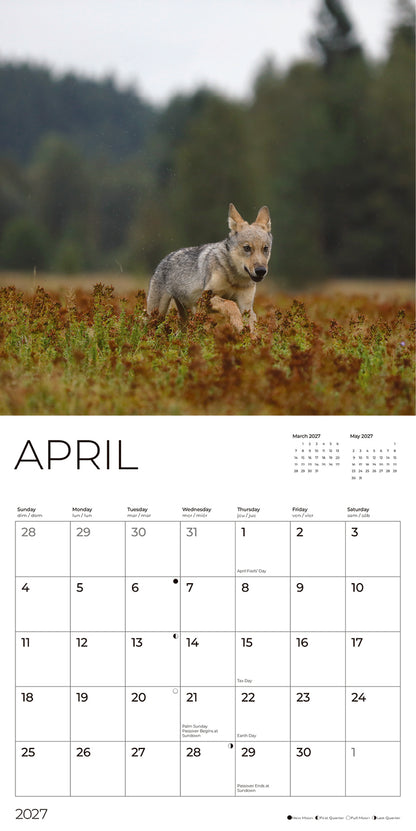 '27 Wall Calendar - Wolf Pups