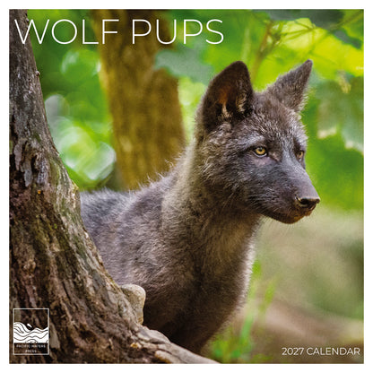 '27 Wall Calendar - Wolf Pups