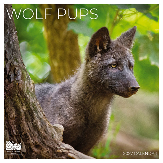 '27 Wall Calendar - Wolf Pups