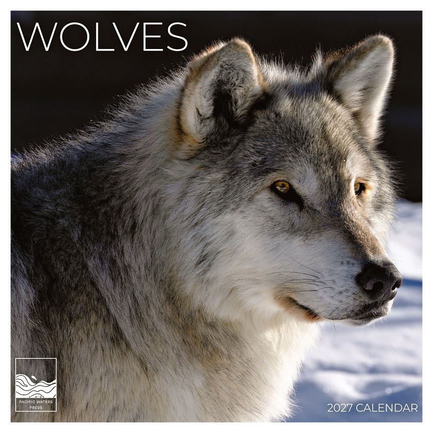 '27 Wall Calendar - Wolves