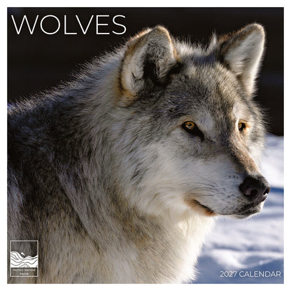 '27 Wall Calendar - Wolves