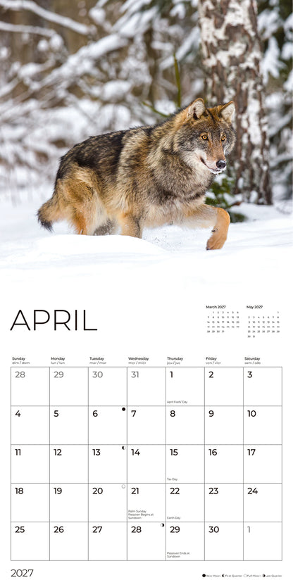 '27 Wall Calendar - Wolves