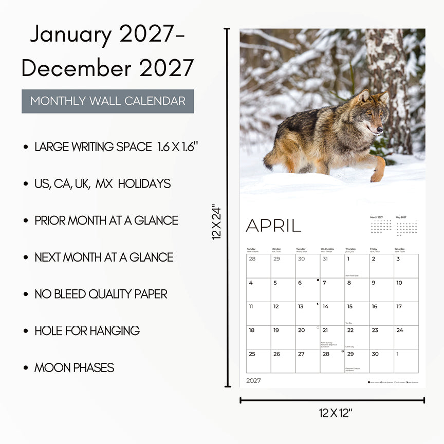 '27 Wall Calendar - Wolves