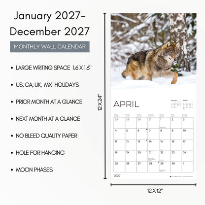 '27 Wall Calendar - Wolves