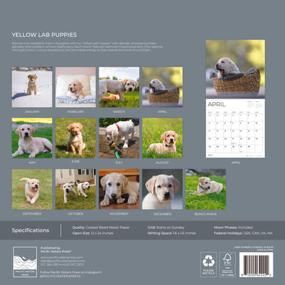 '27 Wall Calendar - Puppy Yellow Lab