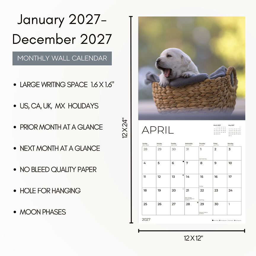 '27 Wall Calendar - Puppy Yellow Lab