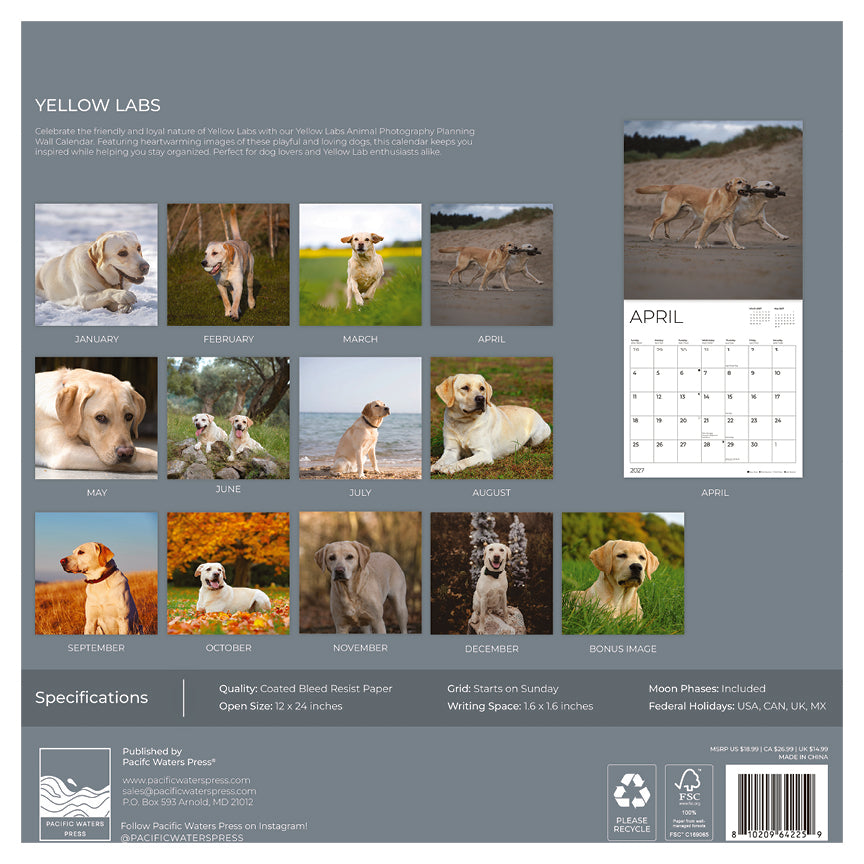 '27 Wall Calendar - Yellow Labs