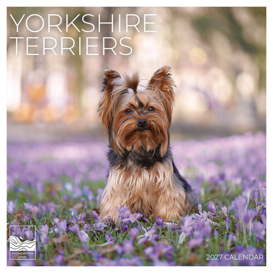'27 Wall Calendar - Yorkshire Terriers