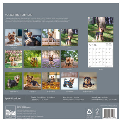 '27 Wall Calendar - Yorkshire Terriers