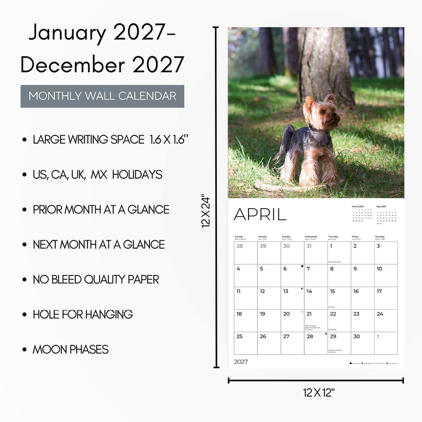 '27 Wall Calendar - Yorkshire Terriers