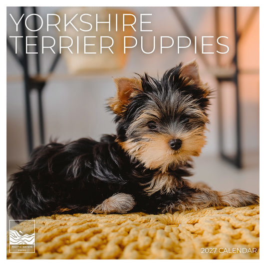 '27 Wall Calendar - Puppy Yorkshire Terrier