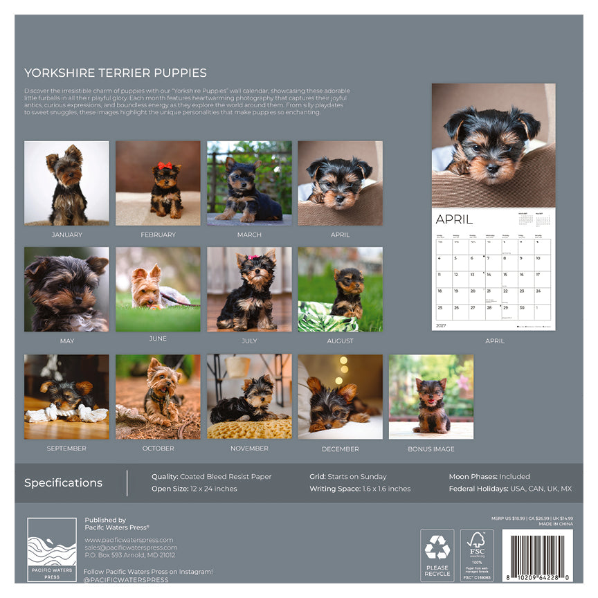 '27 Wall Calendar - Puppy Yorkshire Terrier