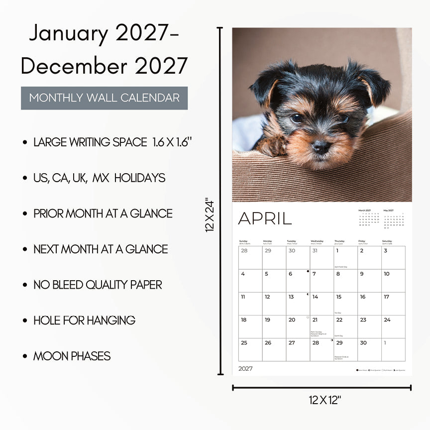 '27 Wall Calendar - Puppy Yorkshire Terrier