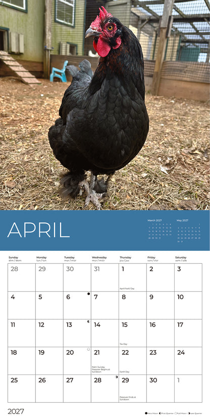 PFC: '27 Wall Calendars - Rescue Chickens - Gives Back!