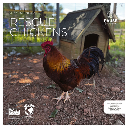 PFC: '27 Wall Calendars - Rescue Chickens - Gives Back!
