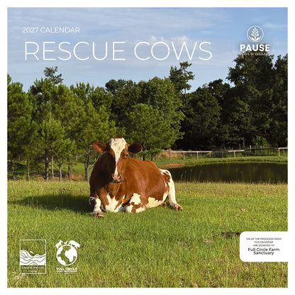 PFC: '27 Wall Calendars - Rescue Cows - Gives Back!