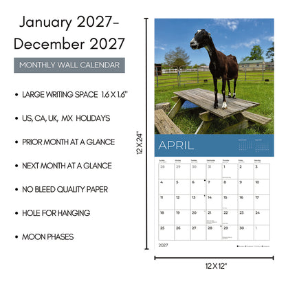 PFC: '27 Wall Calendars - Rescue Goats - Gives Back!