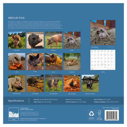 PFC: '27 Wall Calendars - Rescue Pigs - Gives Back!
