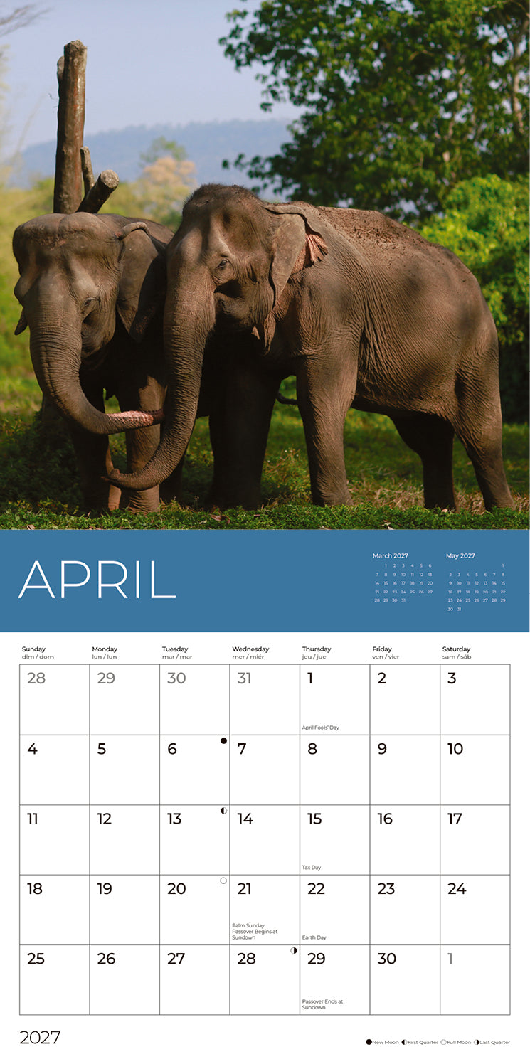 PFC: '27 Wall Calendars - Rescue Elephants - Gives Back!
