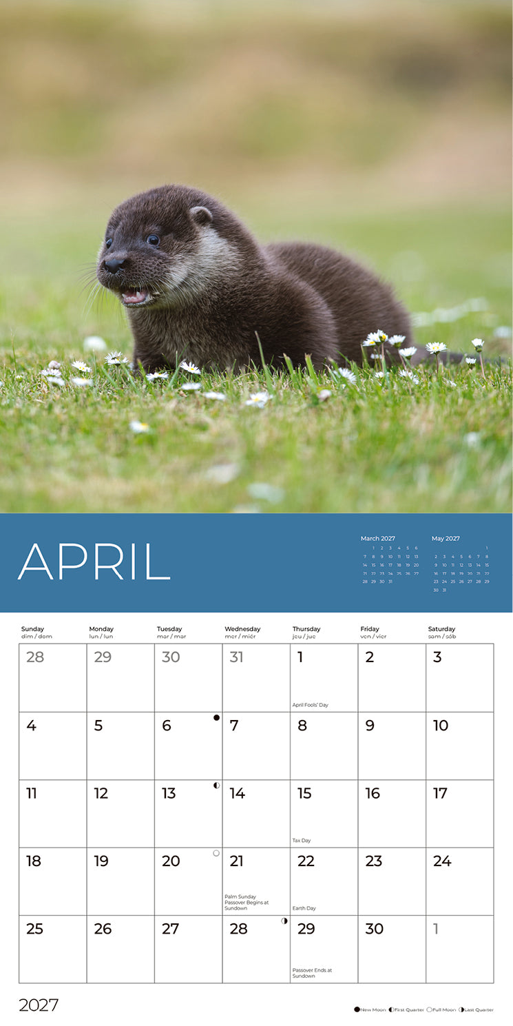 PFC: '27 Wall Calendars - Rescue Wildlife - Gives Back!