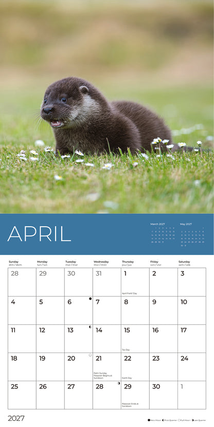 PFC: '27 Wall Calendars - Rescue Wildlife - Gives Back!