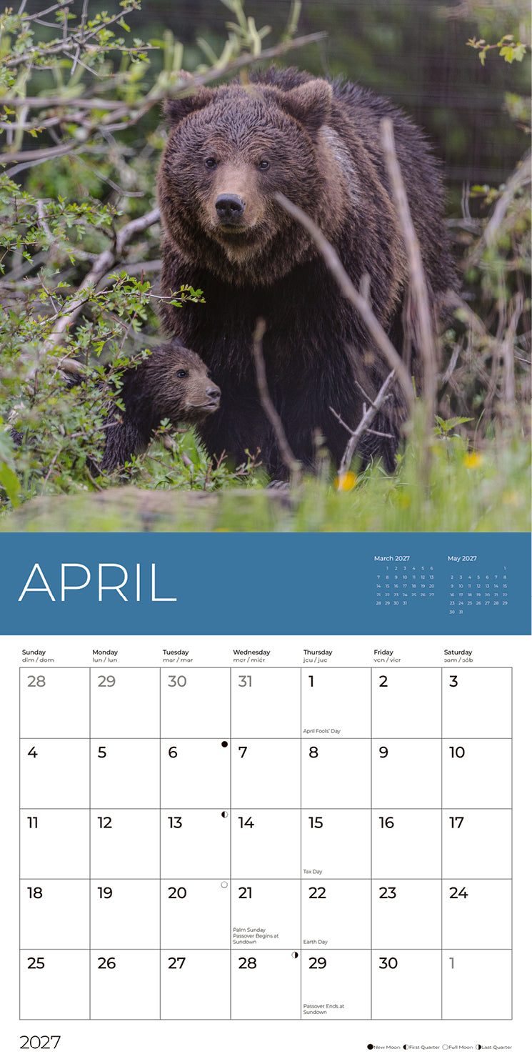 PFC: '27 Wall Calendars - Rescue Bears - Gives Back!