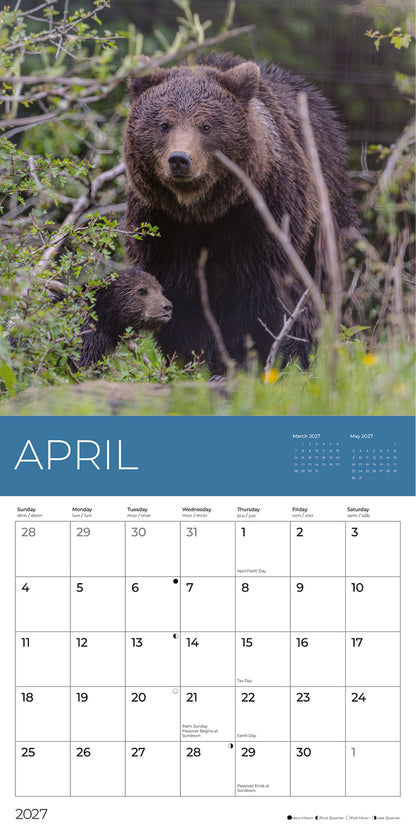 PFC: '27 Wall Calendars - Rescue Bears - Gives Back!