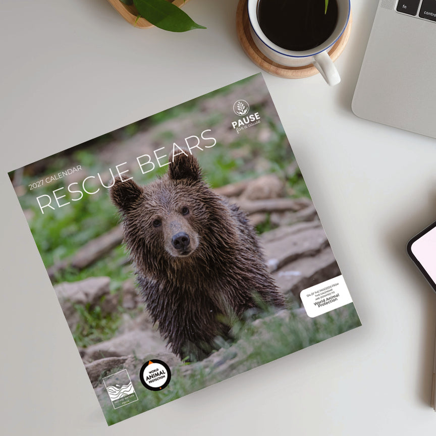 PFC: '27 Wall Calendars - Rescue Bears - Gives Back!