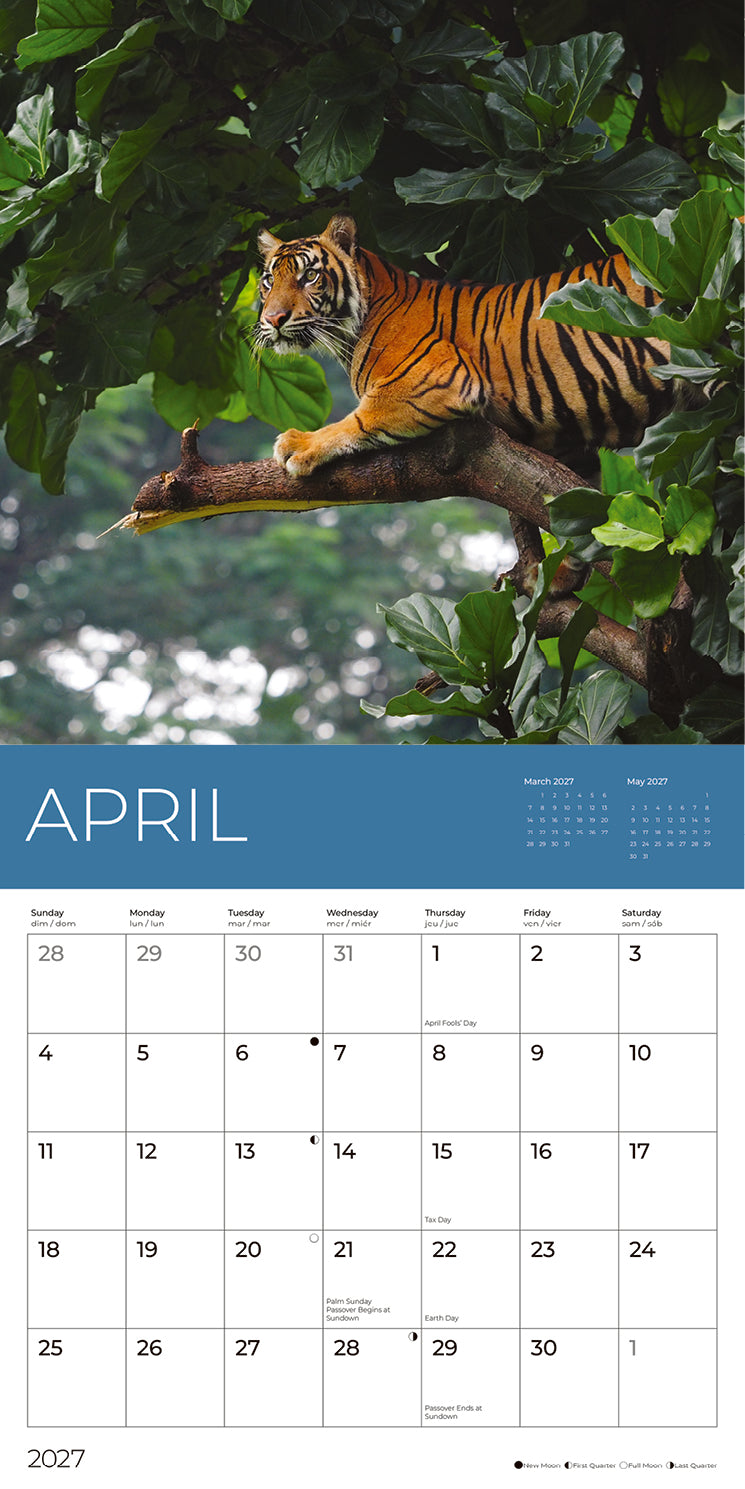 PFC: '27 Wall Calendars - Rescue Tigers - Gives Back!