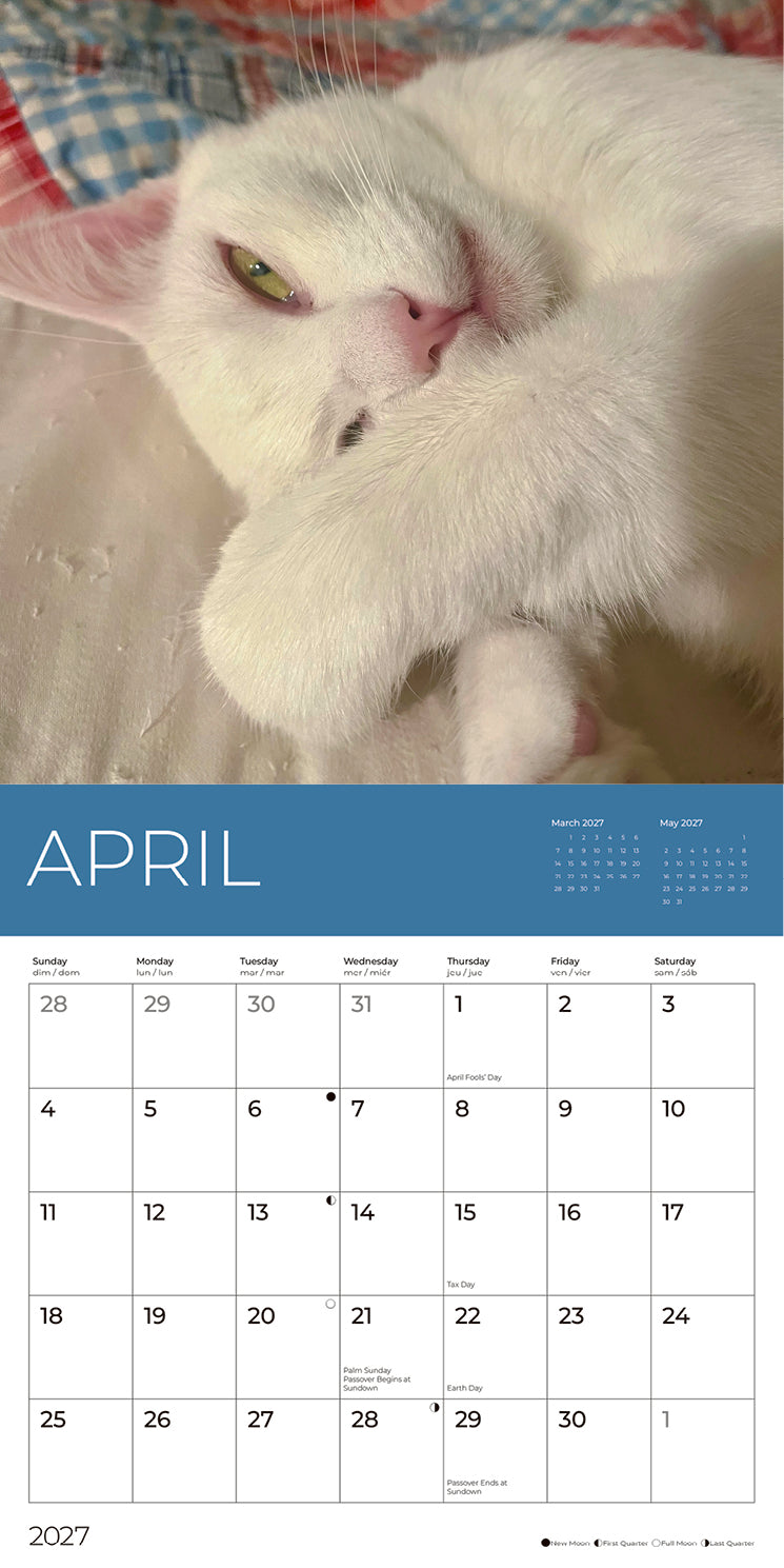PFC: '27 Wall Calendars - Rescue Cats - Gives Back!