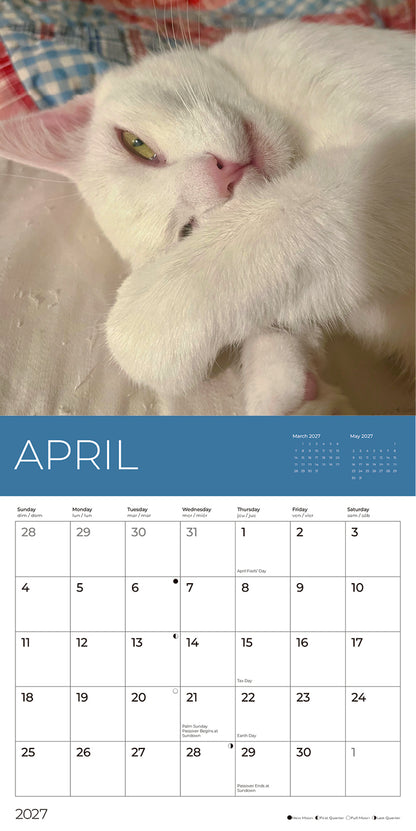 PFC: '27 Wall Calendars - Rescue Cats - Gives Back!