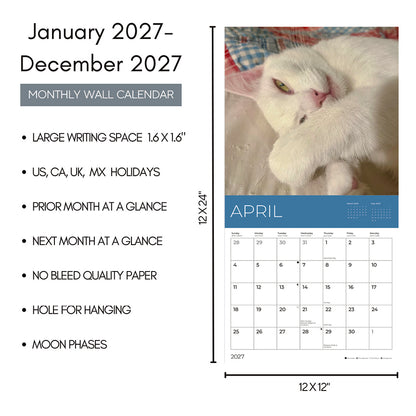 PFC: '27 Wall Calendars - Rescue Cats - Gives Back!