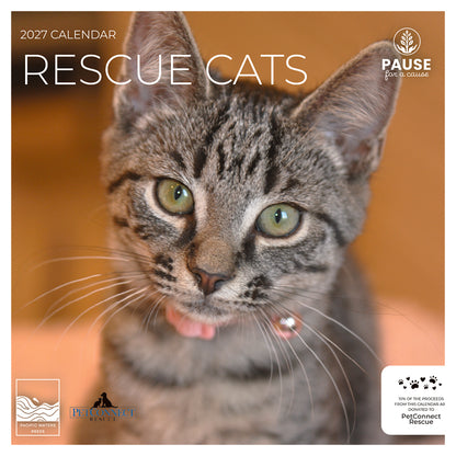 PFC: '27 Wall Calendars - Rescue Cats - Gives Back!