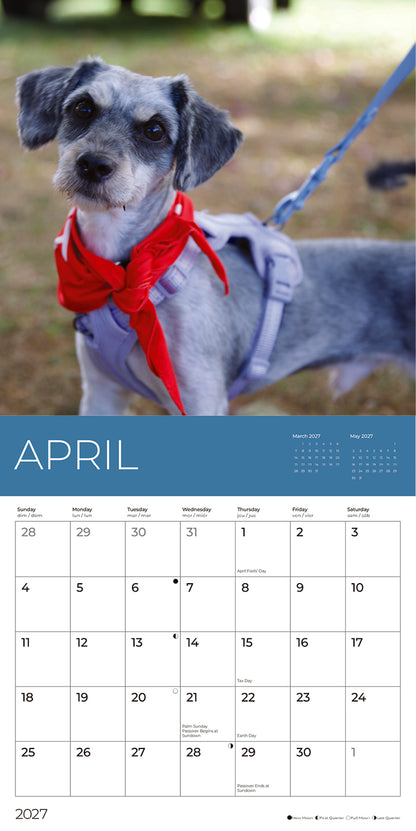 PFC: '27 Wall Calendars - Rescue Dogs - Gives Back!