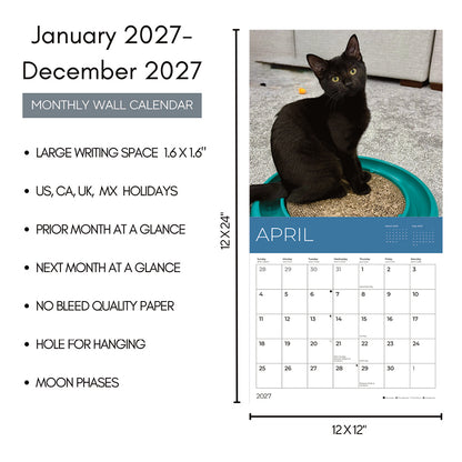 PFC: '27 Wall Calendars - Rescue Kittens - Gives Back!