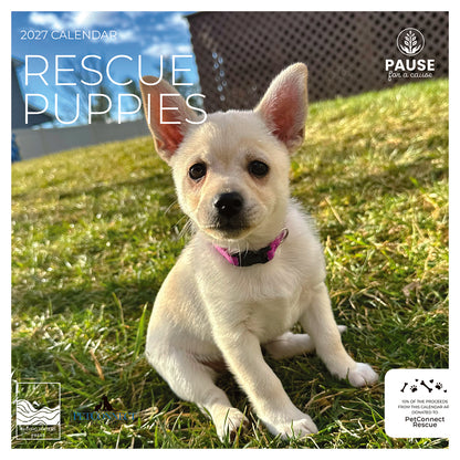 PFC: '27 Wall Calendars - Rescue Puppies - Gives Back!