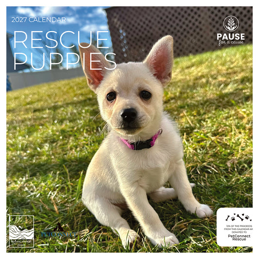 PFC: '27 Wall Calendars - Rescue Puppies - Gives Back!