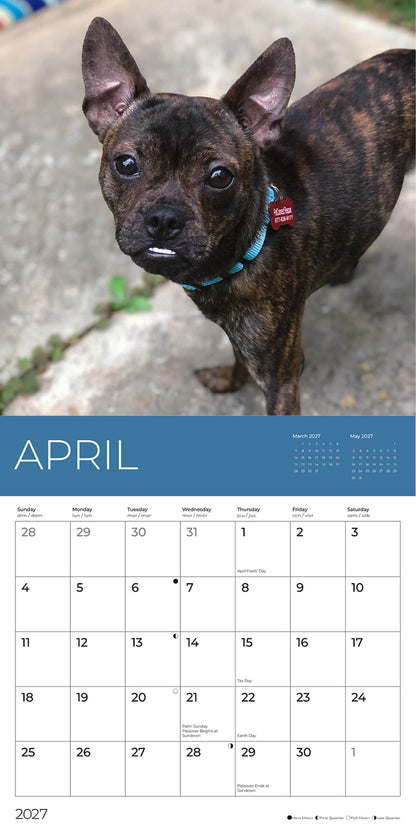 PFC: '27 Wall Calendars - Rescue Puppies - Gives Back!