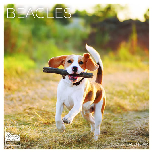 '27 Wall Calendar - Beagles