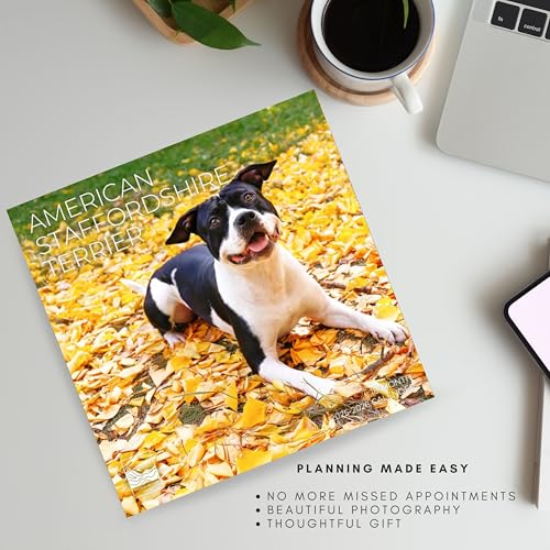 '26 Wall Calendar - Dogs - 18mo